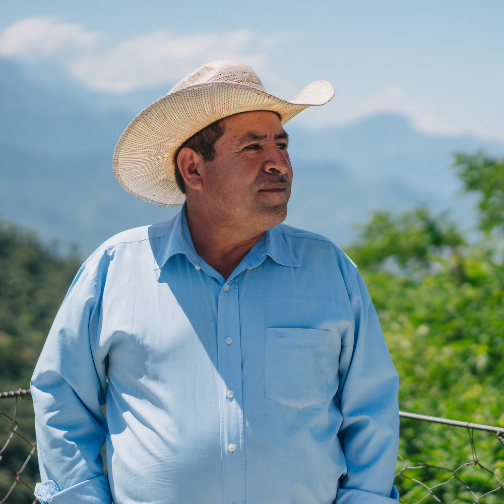 Guatemala Limited Release