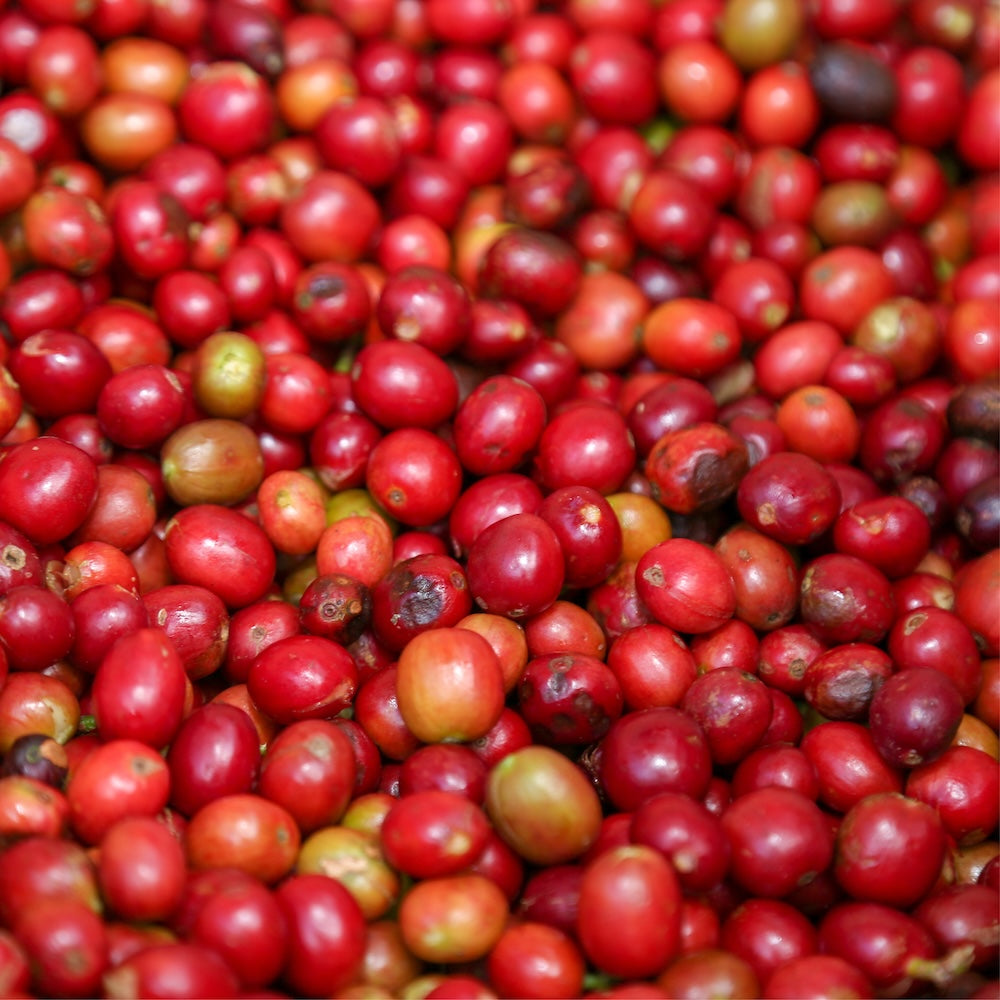Ethiopia