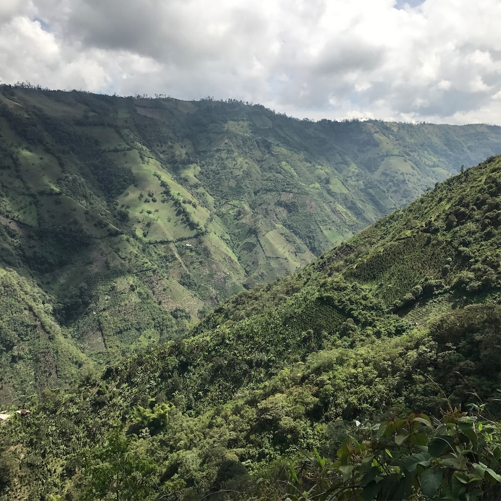 Colombia
