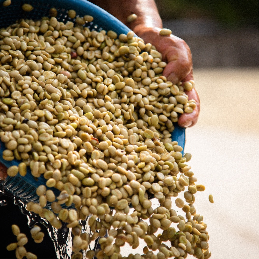 Guatemala