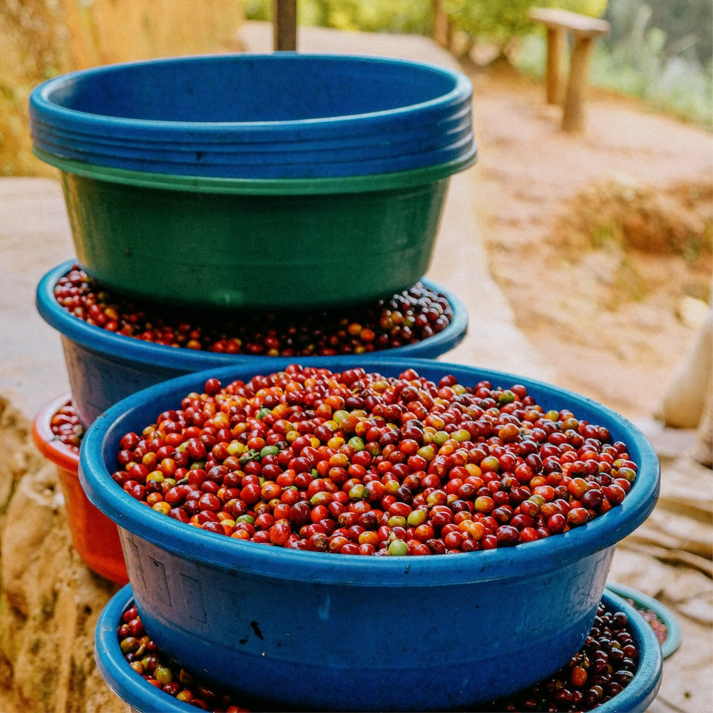 Rwanda