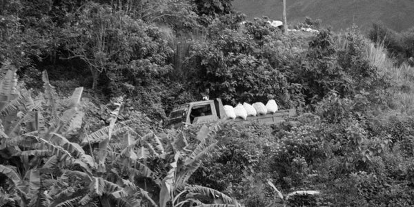 The Road to Transparent Coffee Pricing