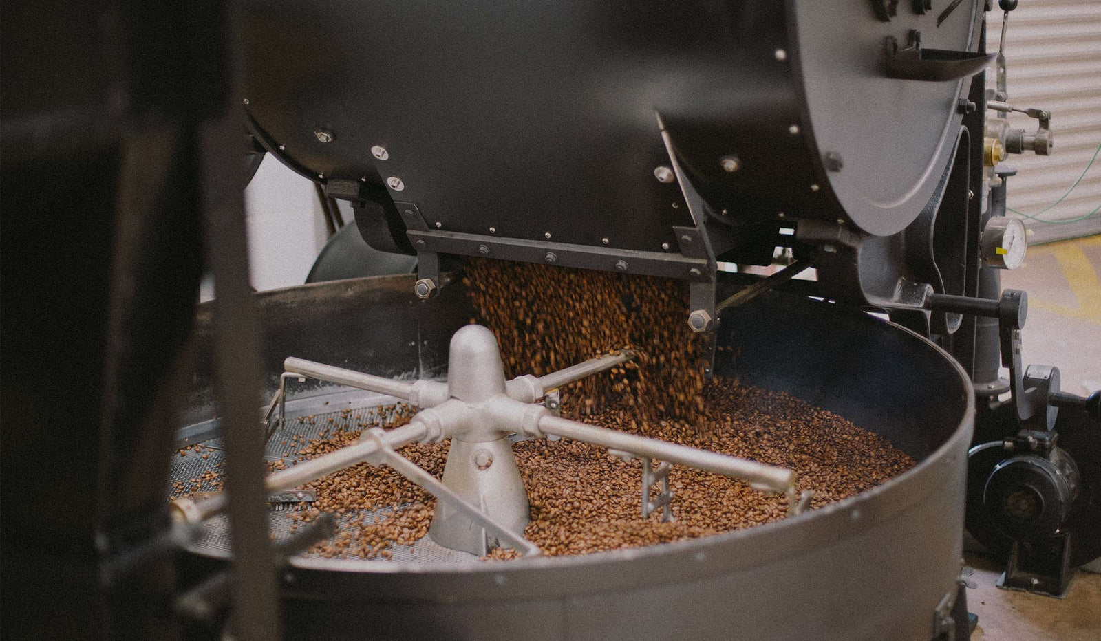 Do you even Omni-roast bro?