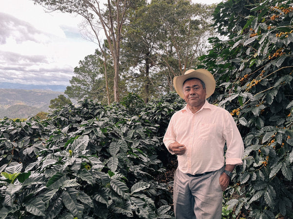 Honduras: an underrated origin