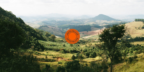 Limited Release Coffees