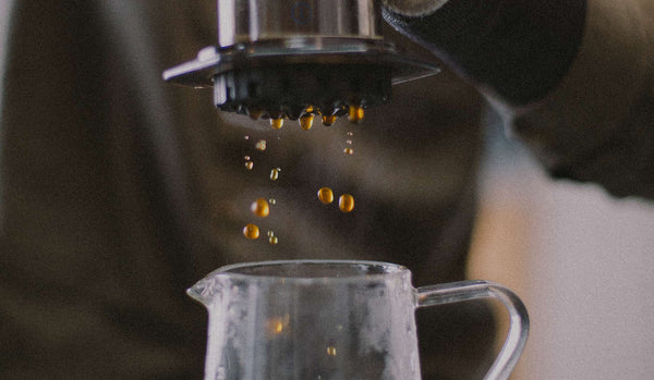 Around the World in Coffee Part 3: Kenya