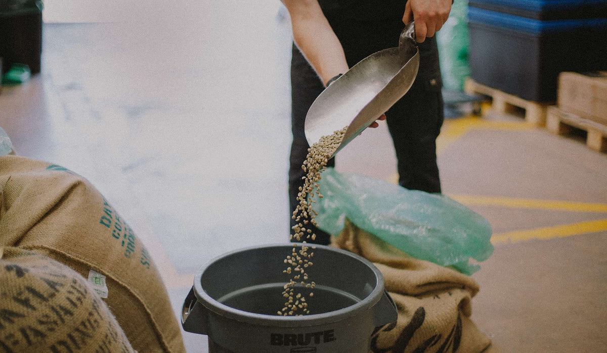 Around the World in Coffee Part 4: Ethiopia