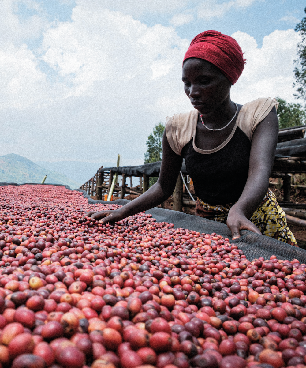 Burundi Migoti Hill