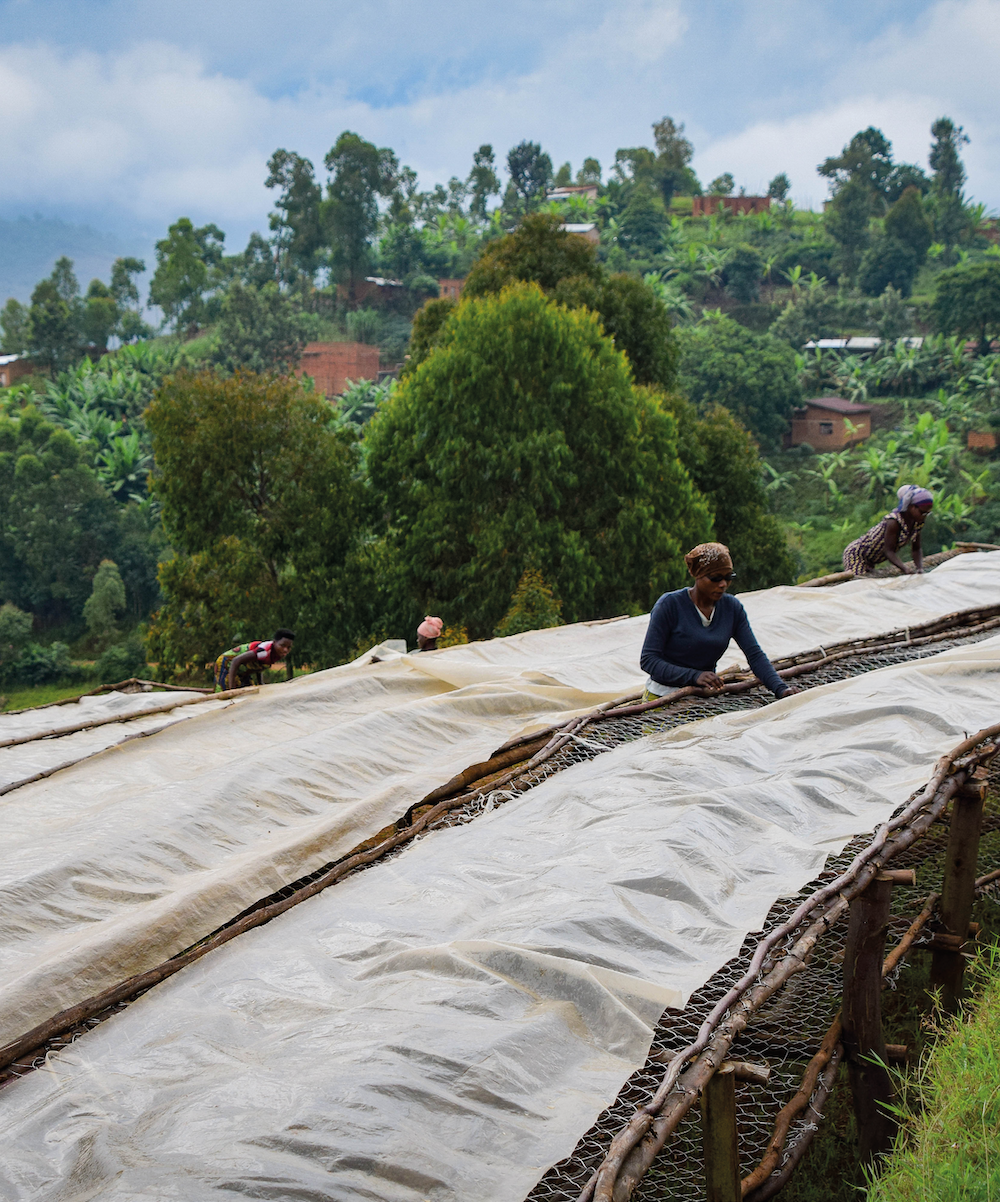 Burundi Migoti Hill