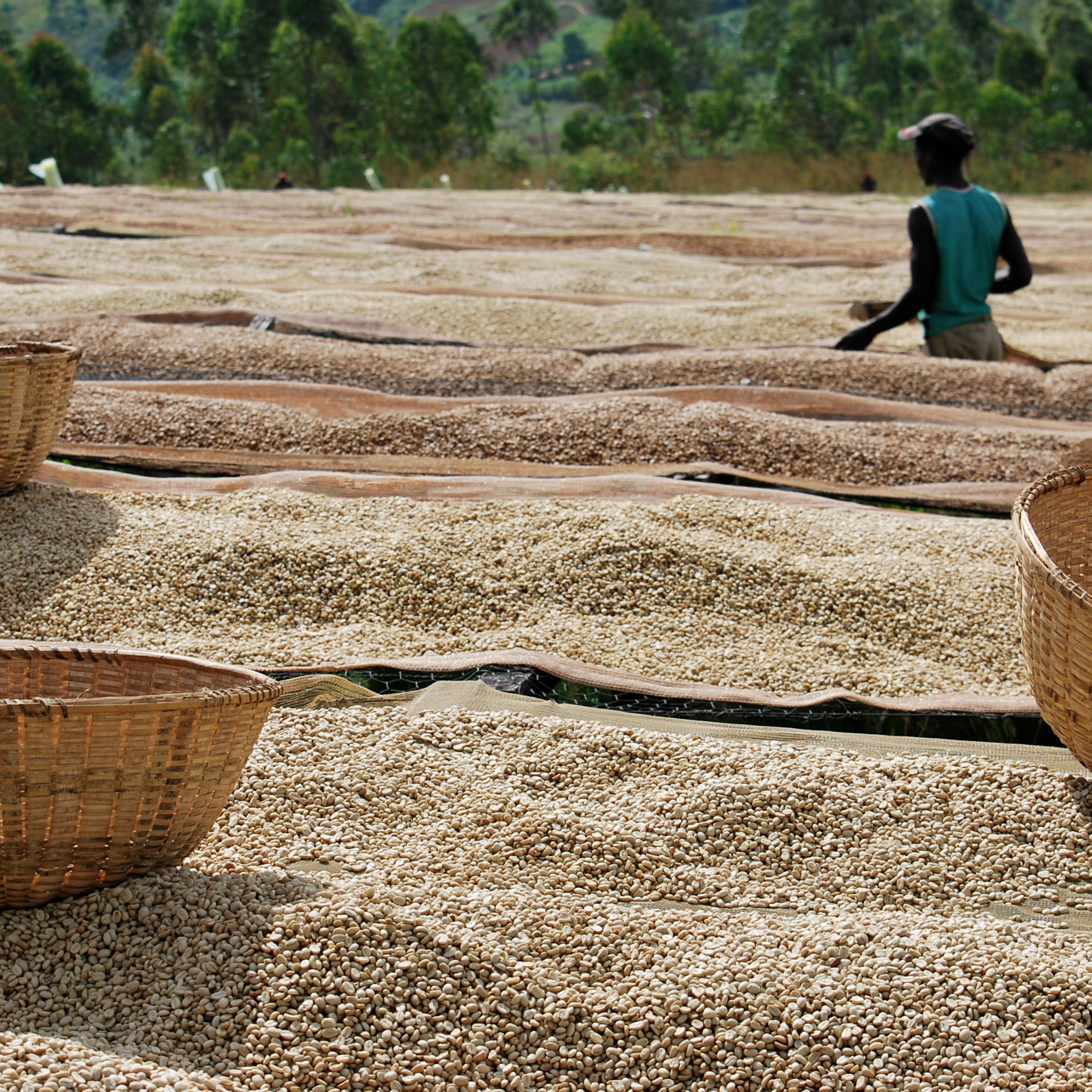 Burundi Limited Release