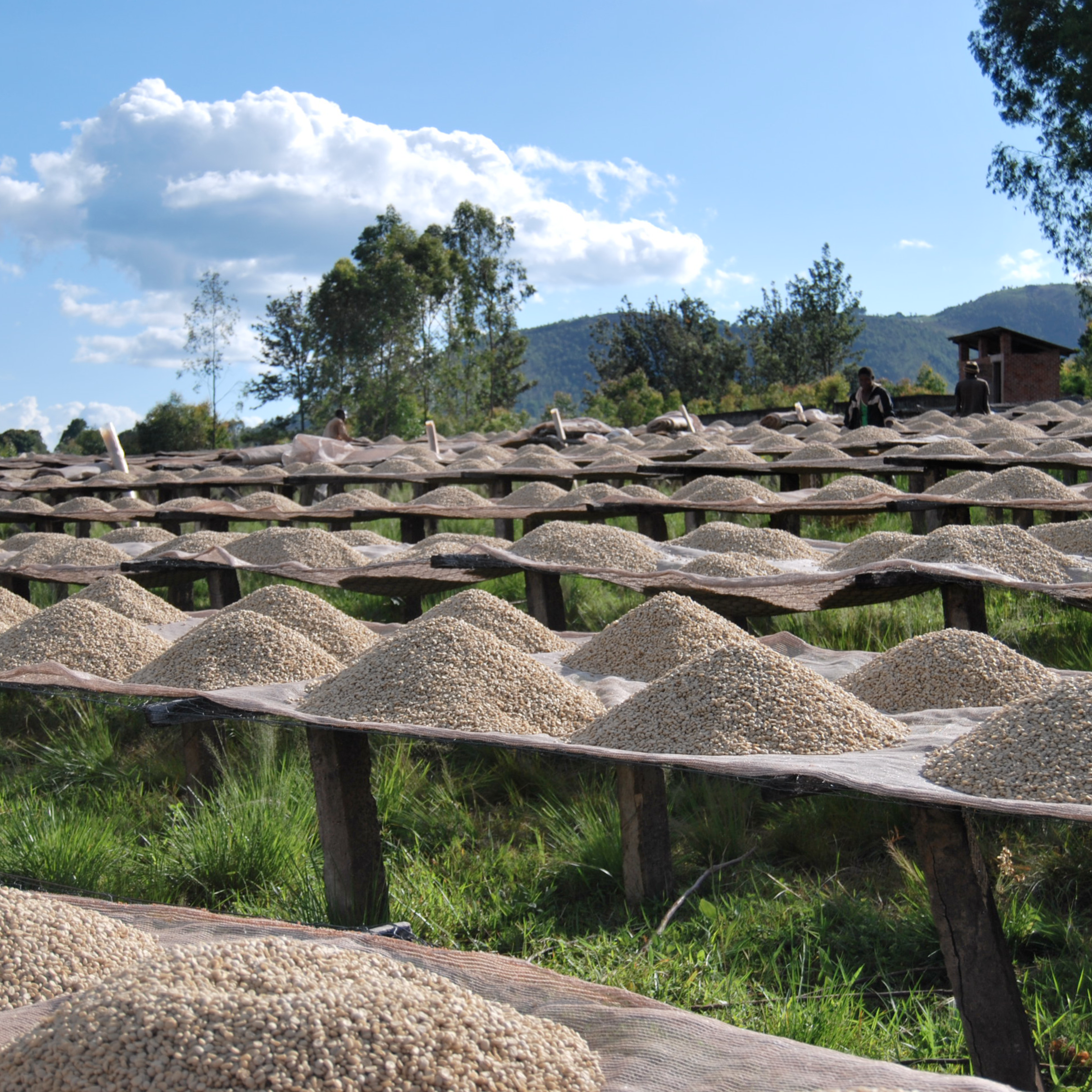 Burundi Limited Release