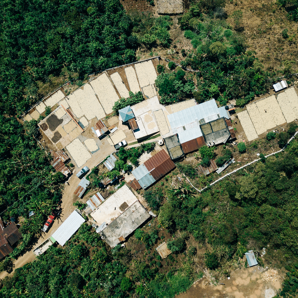 Guatemala Limited Release