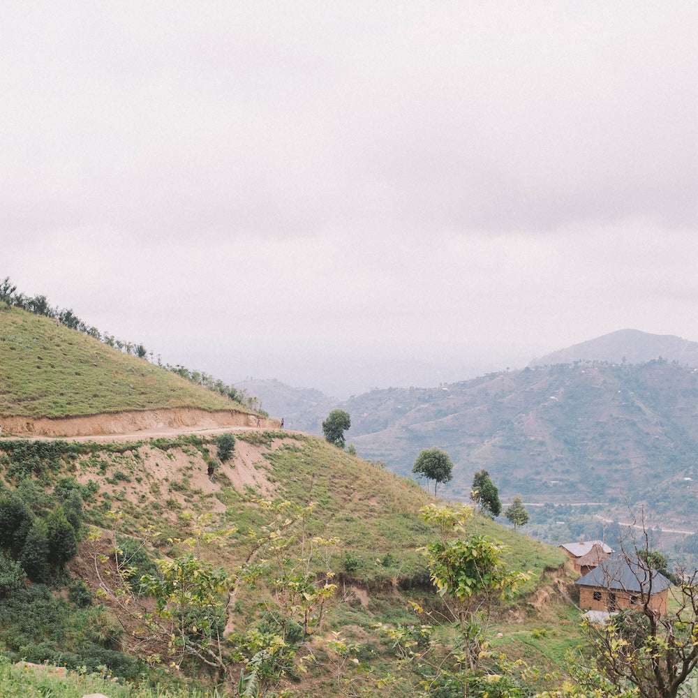 Uganda Rwenzori Mountains
