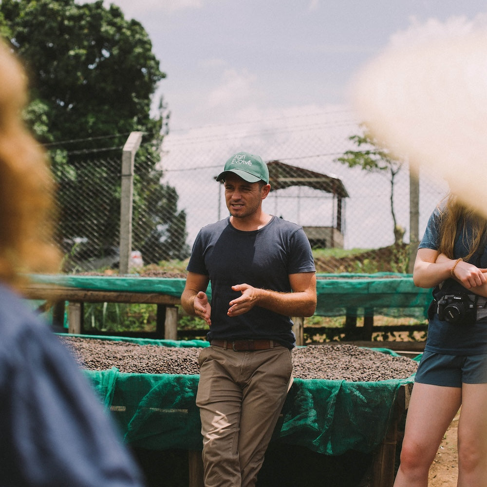 Uganda Rwenzori Mountains