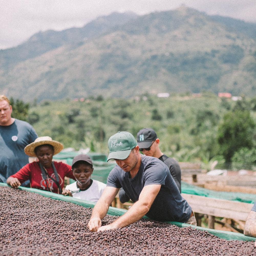 Uganda Rwenzori Mountains