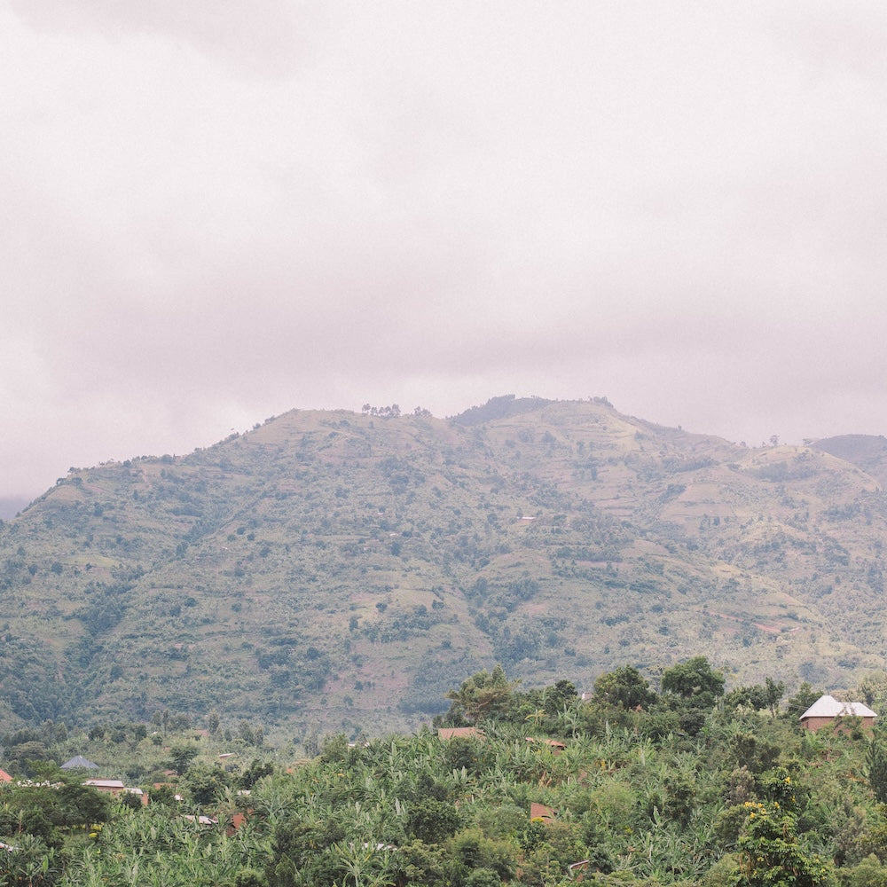 Uganda Rwenzori Mountains