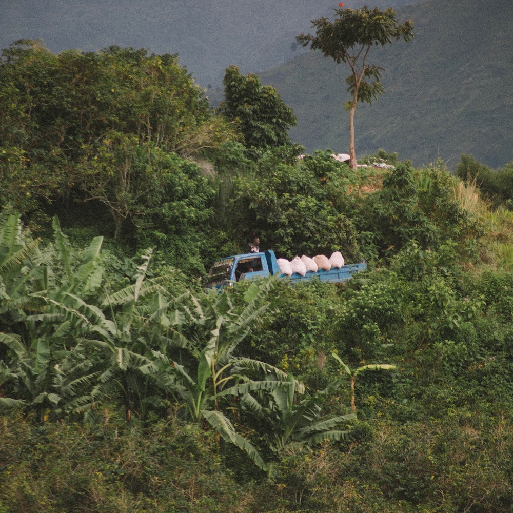 Uganda Rwenzori Mountains