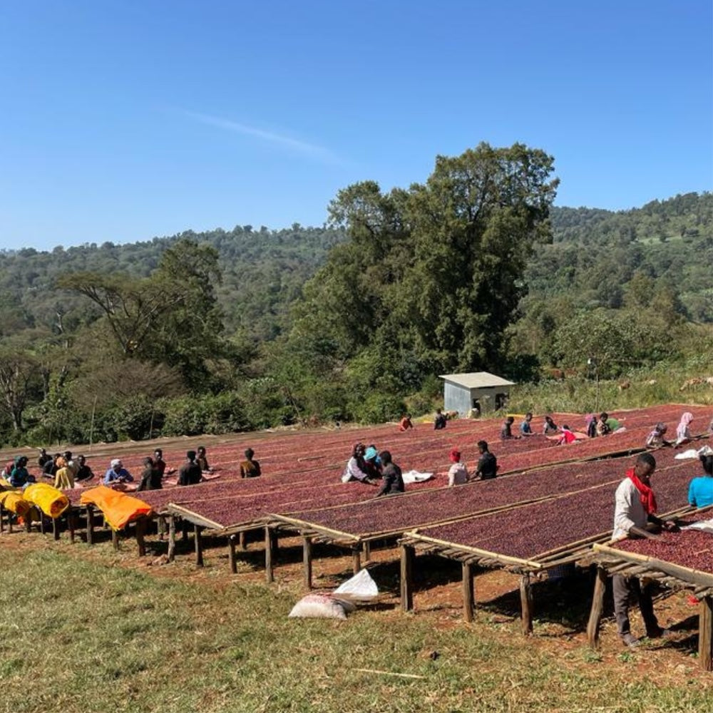 Ethiopia