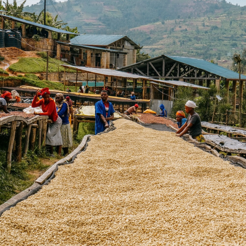 Rwanda