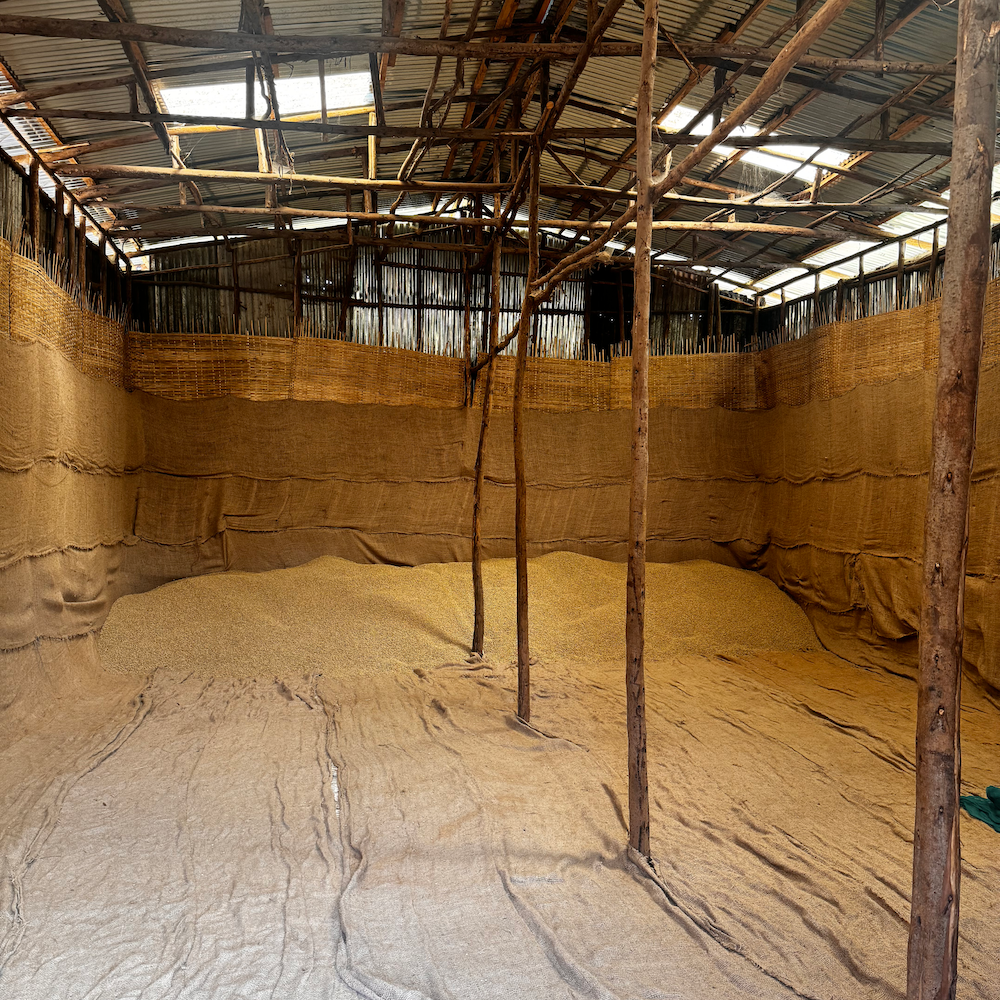 Ethiopia Limited Release