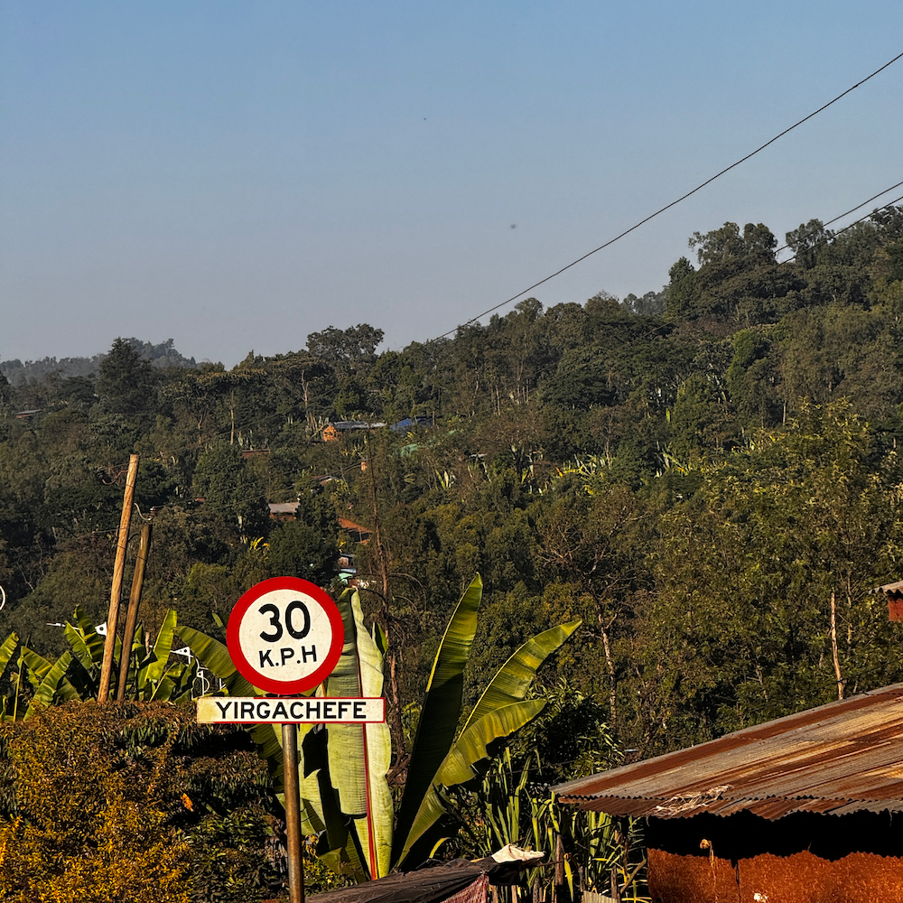 Ethiopia Limited Release